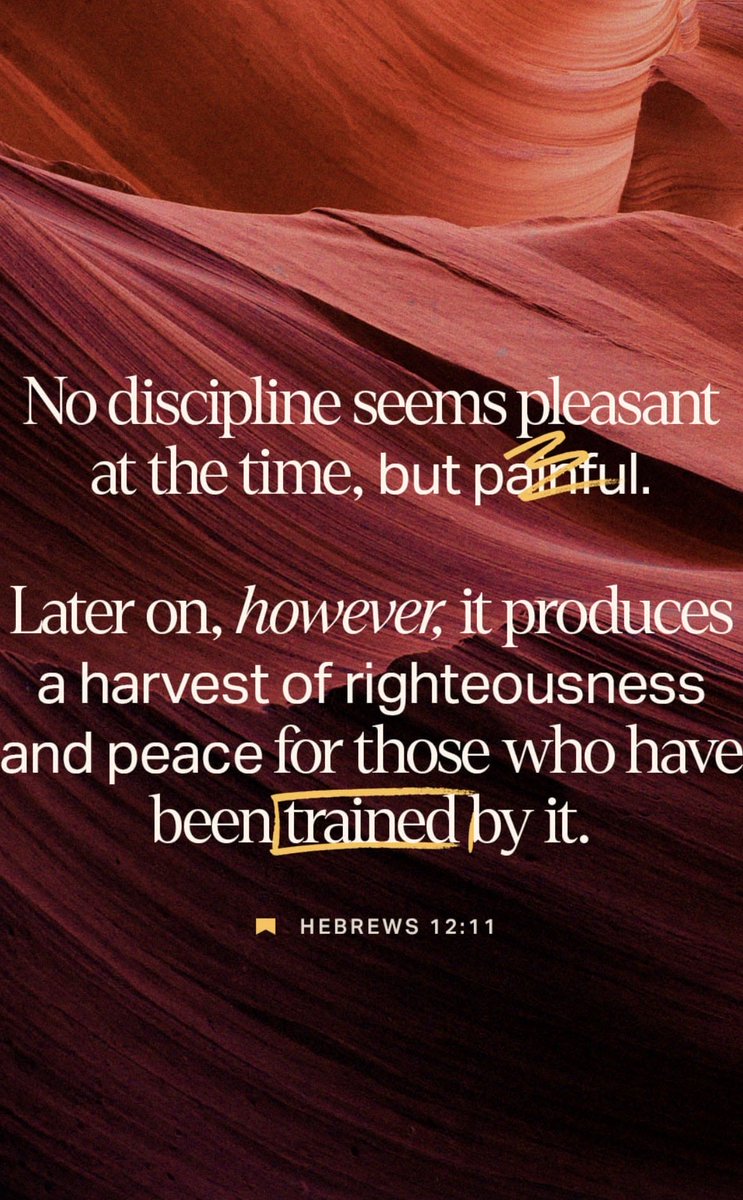 WittyDLGill's tweet image. It’s A Great Thursday, February 19, 2026, Morning~ How are you?  I’m fine!  😍😍😍

“Soon As I Get Home” ~ Minister Thomas Whitfield:

youtu.be/xPN7XV3sgWo