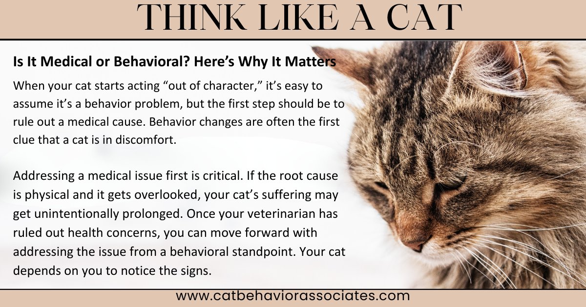 Pam Johnson-Bennett tweet media