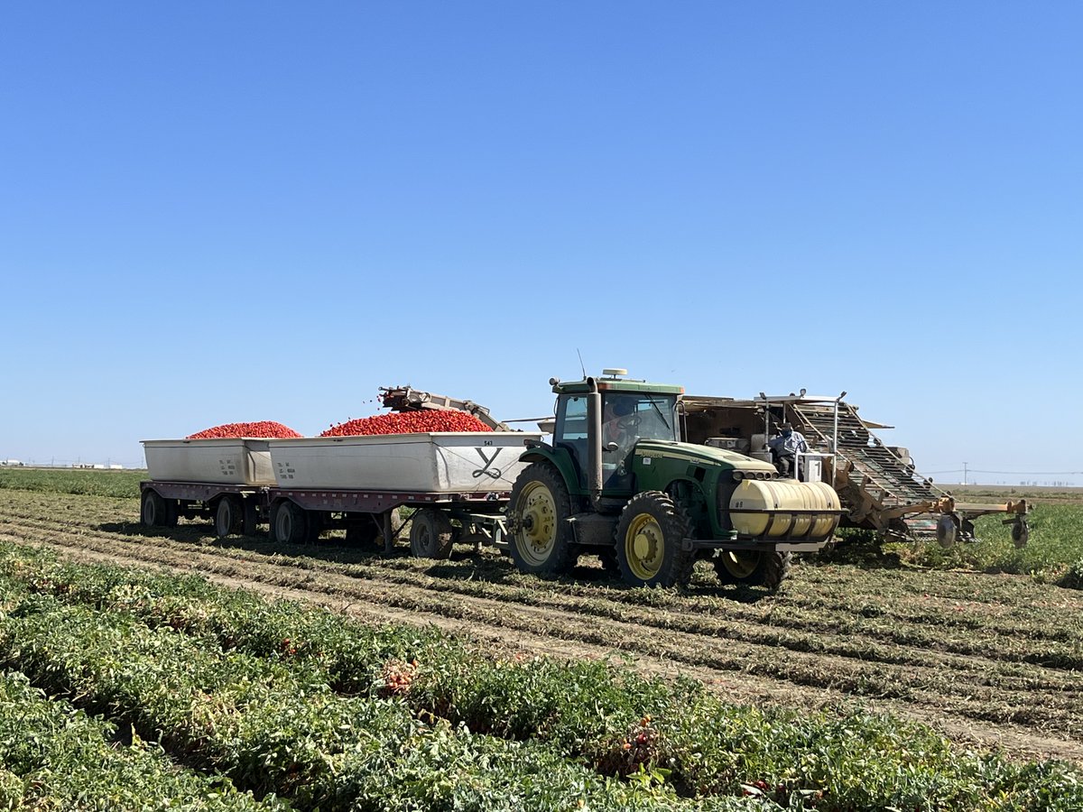 Cal Ag Solutions tweet media