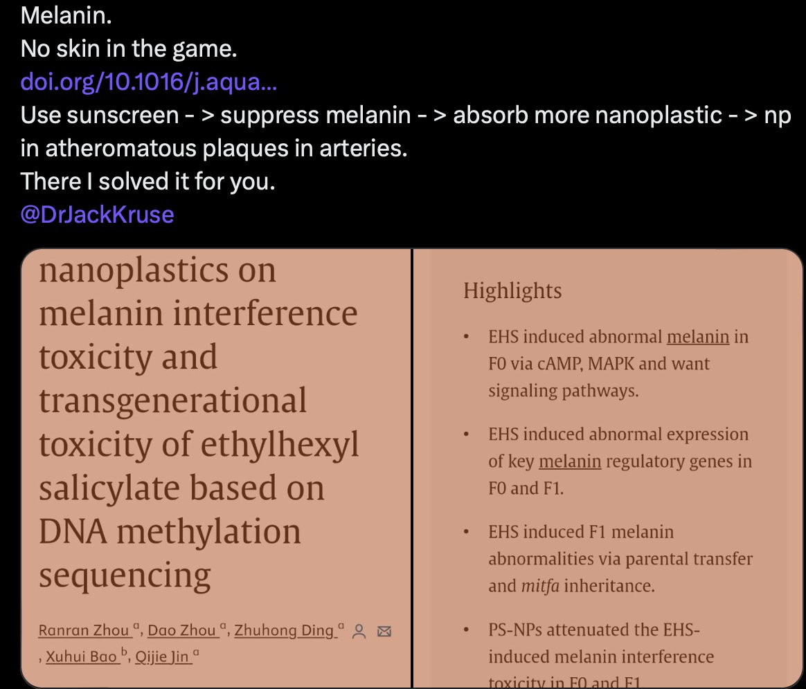 ☣️ Pleb Kruse = BTC foundationalist in exile 🟩🔆 tweet media