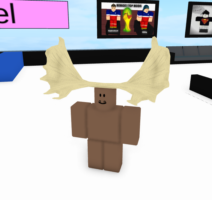 sp00kface tweet media