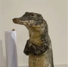 Flycken12 tweet media