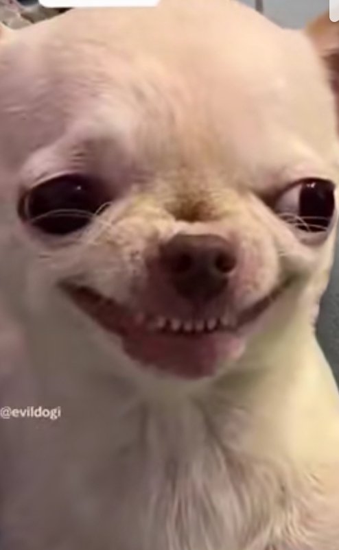 GhanaMessiah's tweet image. Ken Offori Atta , discovering Russia has no extradition process