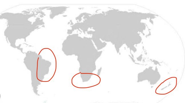 Muslims in the southernmost countries will have the longest fasting day at the end of #Ramadan in 2026:

1.New Zealand – 14 hours, 50 minutes
2.South Africa – 14 hours, 13 minutes
3.Brazil – 13 hours and 47 minutes