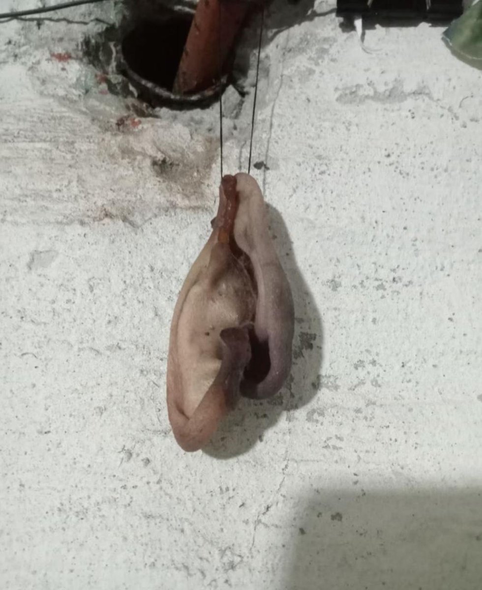 російський генерал хвалився дружині відрізаними вухами українських військових
currenttime.tv/a/systema-sche…