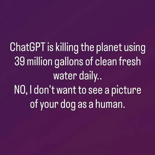 Laurie Harley tweet media