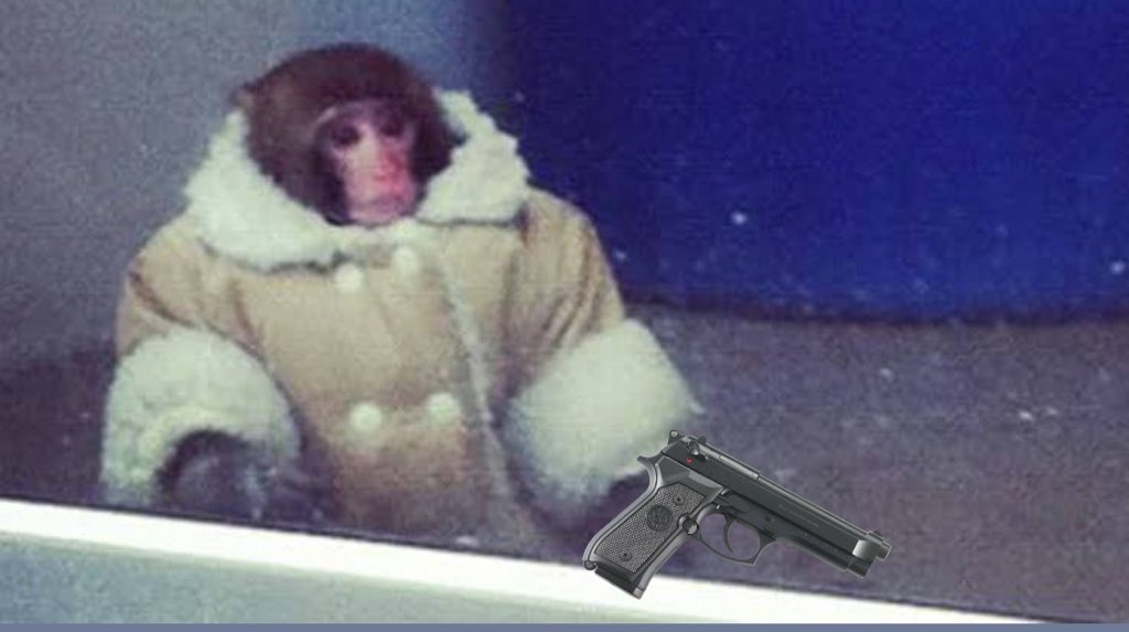 it’s time. give that monkey a gun