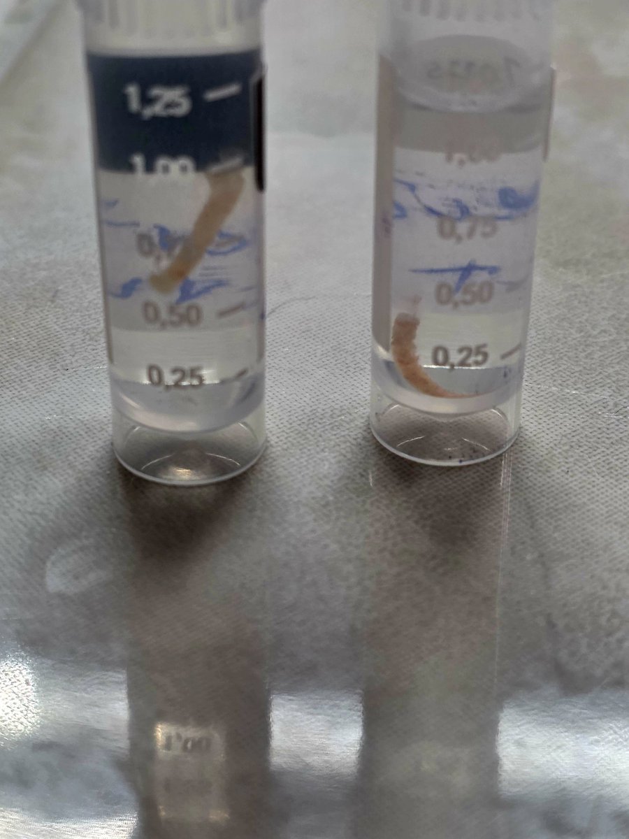 Avel con V chica 🥸 tweet media