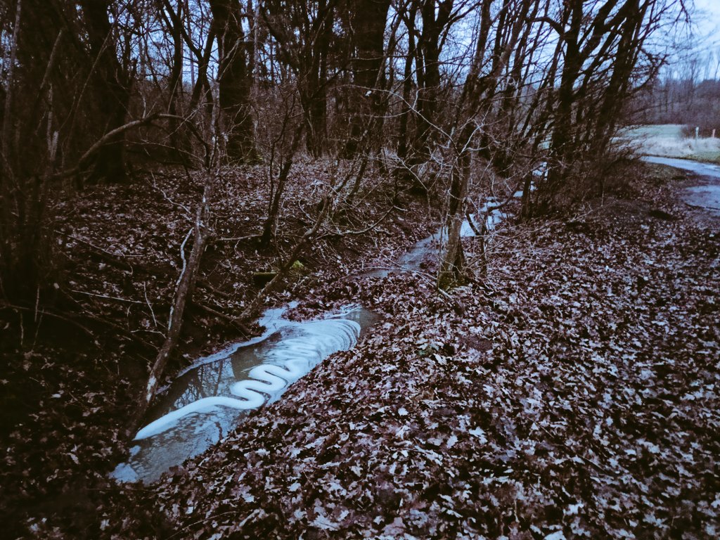 JoGoebel's tweet photo. Zwischen #Ölbronn #Dürrn und #Ötisheim (aka #Aize) sieht das Bächle so aus. Immer wieder sich stauender weißer Schaum.

Ist das normal und ungefährlich oder ist das etwas Giftiges im #Wasser? Die Recyclinganlage von #PreZero, wo es ja schon mal Probleme gab, ist nicht weit.
#Umwelt #Natur #Enzkreis
