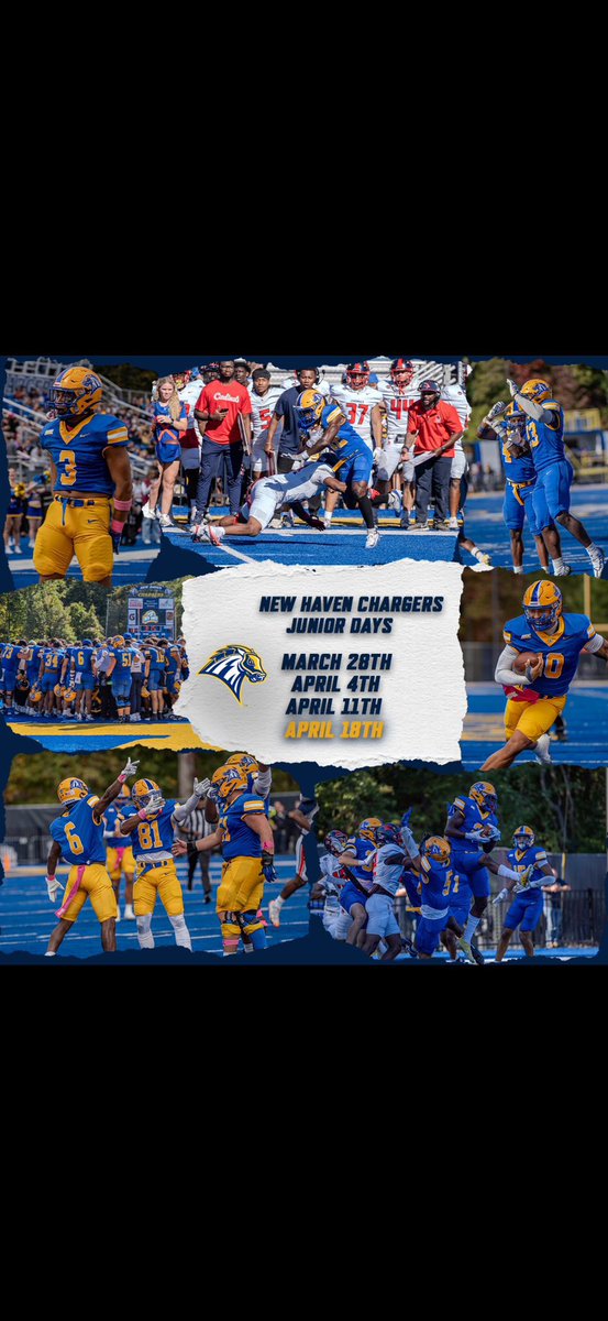 Max Bucci tweet media