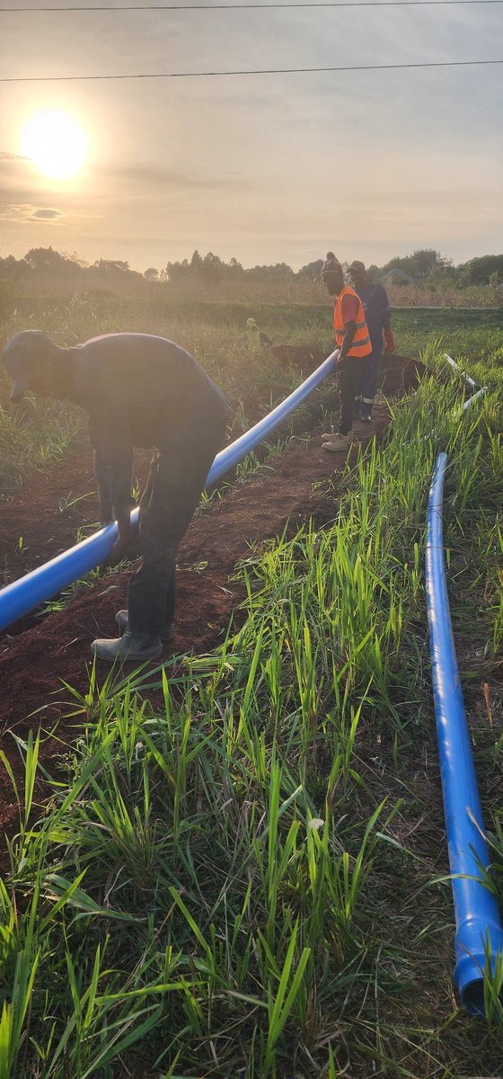 Joseph Mulinde tweet media