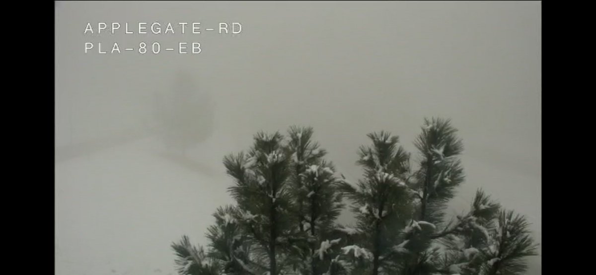 CHP Auburn tweet media