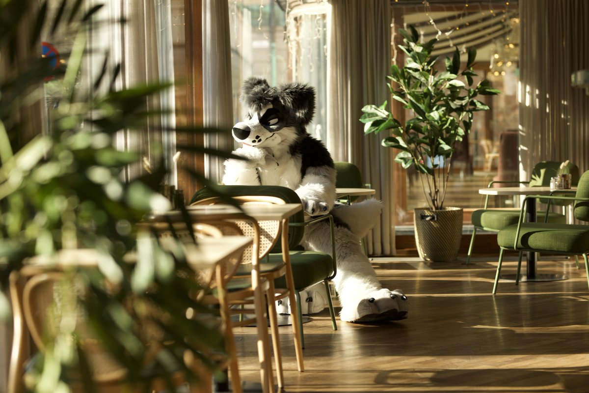 MYLO 🦊📸 tweet media