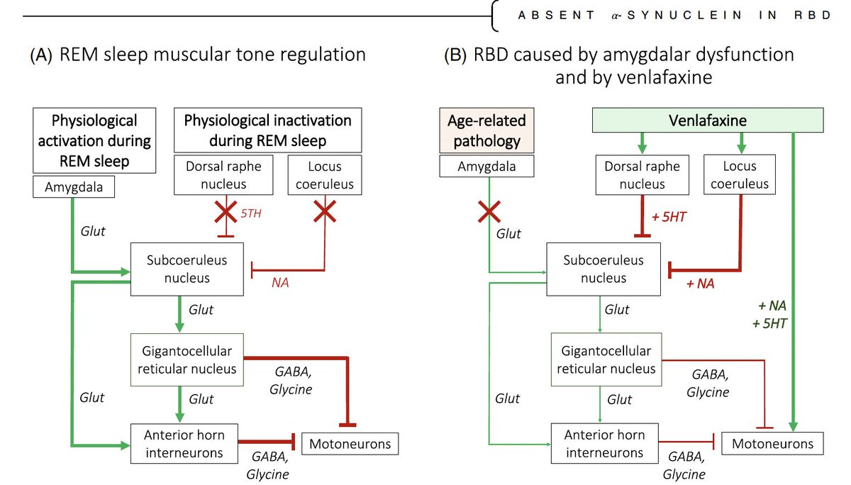 Movement Disorders Journal tweet media