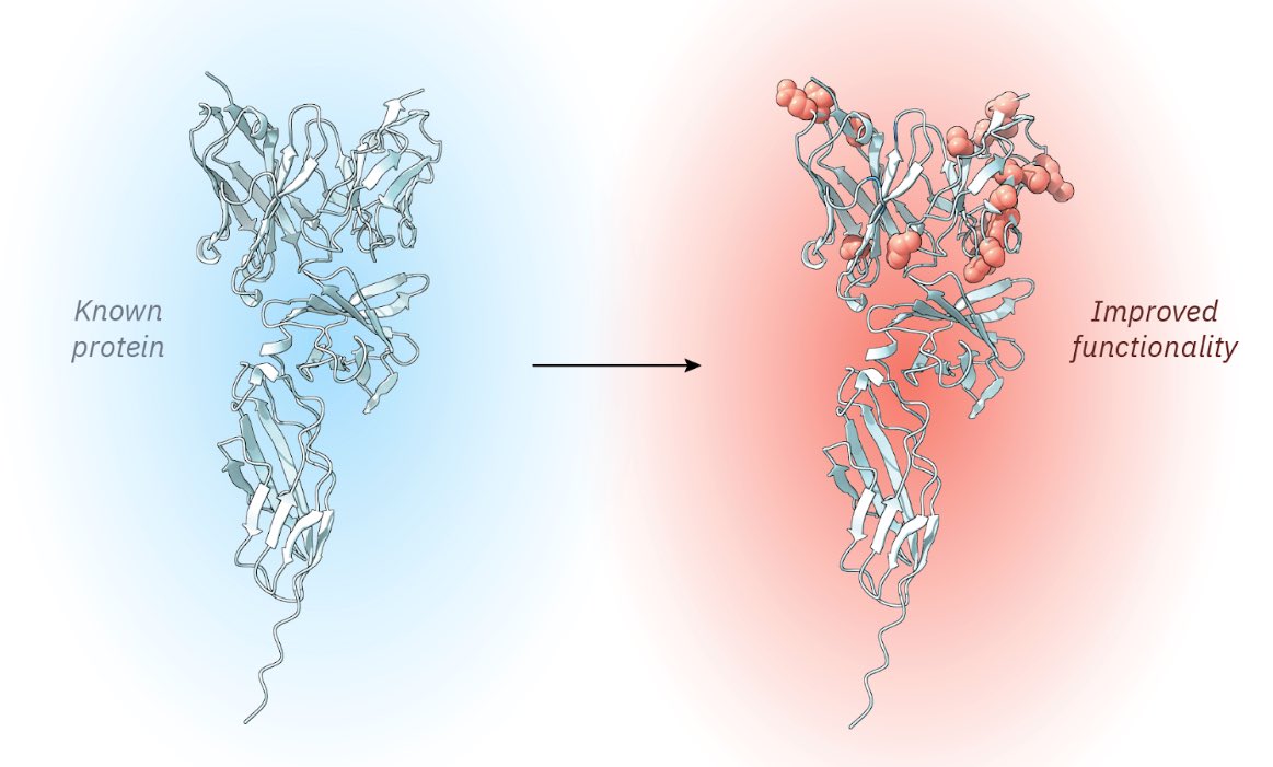 Matthew Nemeth tweet media