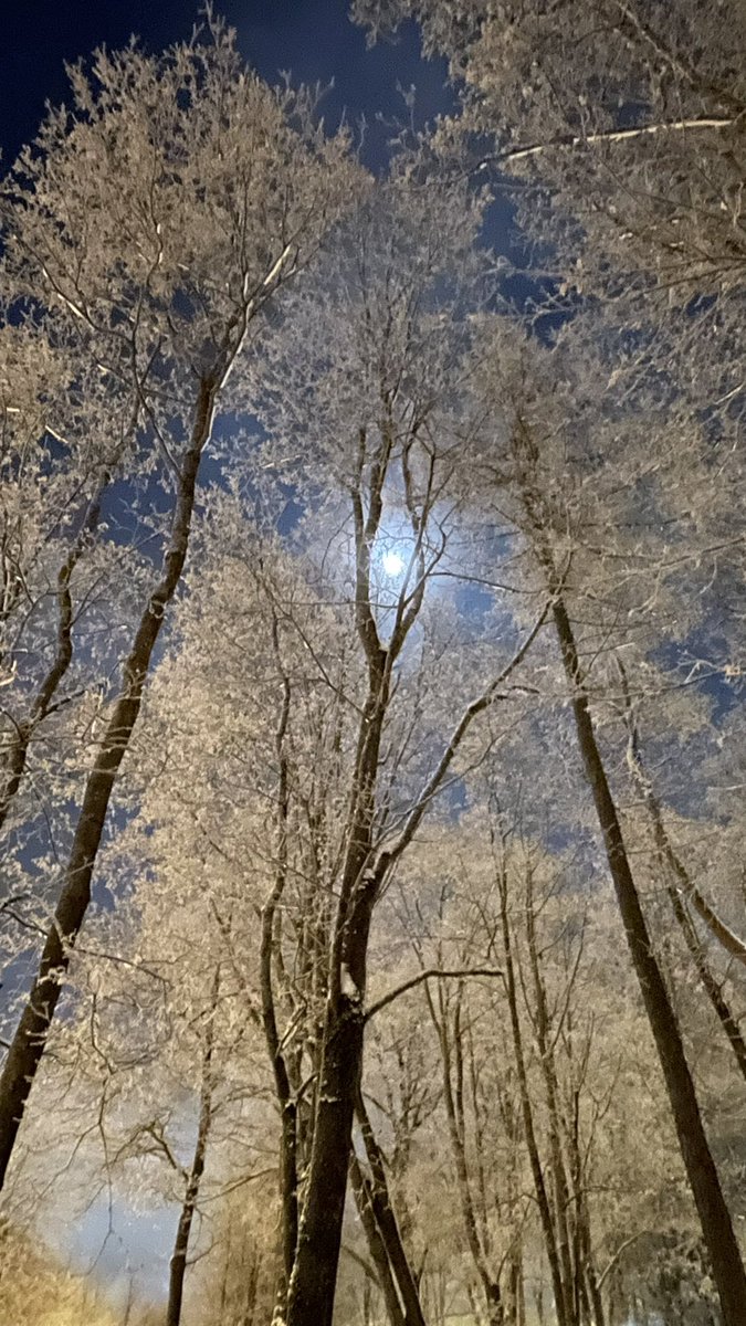 Victoria💫 tweet media