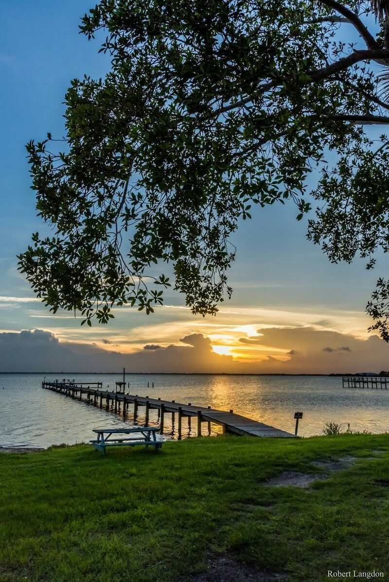 ᅠ ᅠ (@greendreaams) on Twitter photo 