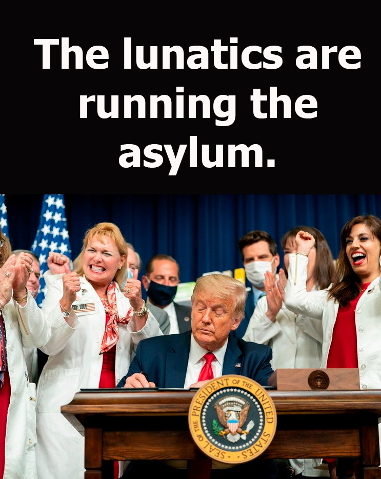 FilPlotnik's tweet image. 