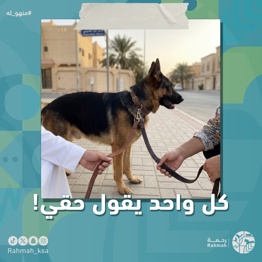 إذا اختلفتوا .. نصدق مين؟

اللي يحبه أكثر؟ والا اللي يملك إثبات؟

#منهو_له #ترقيم_الحيوانات_الأليفة