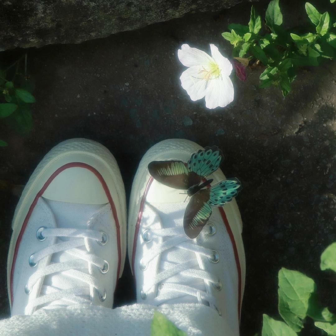 ᅠ ᅠ (@greendreaams) on Twitter photo 