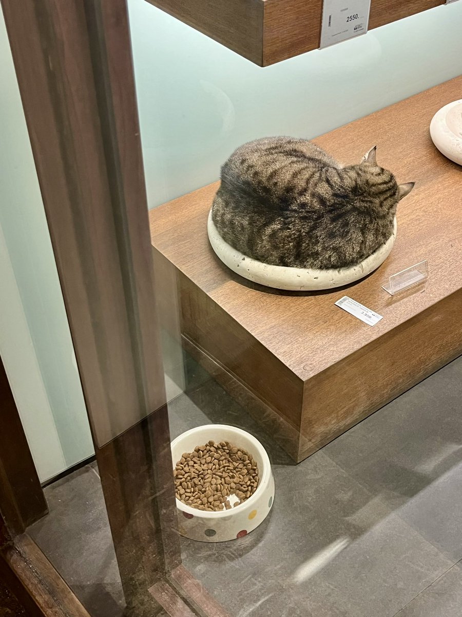 Itır Erhart tweet media