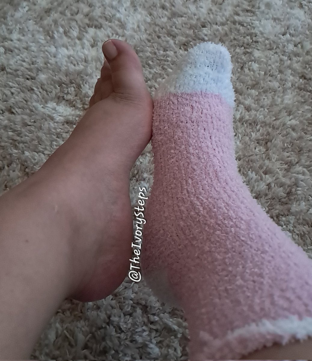 TheIvorySteps's tweet photo. Cozy new socks are good for any time of year... 👣✨️✨️ https://t.co/4Jmo8eSuRm