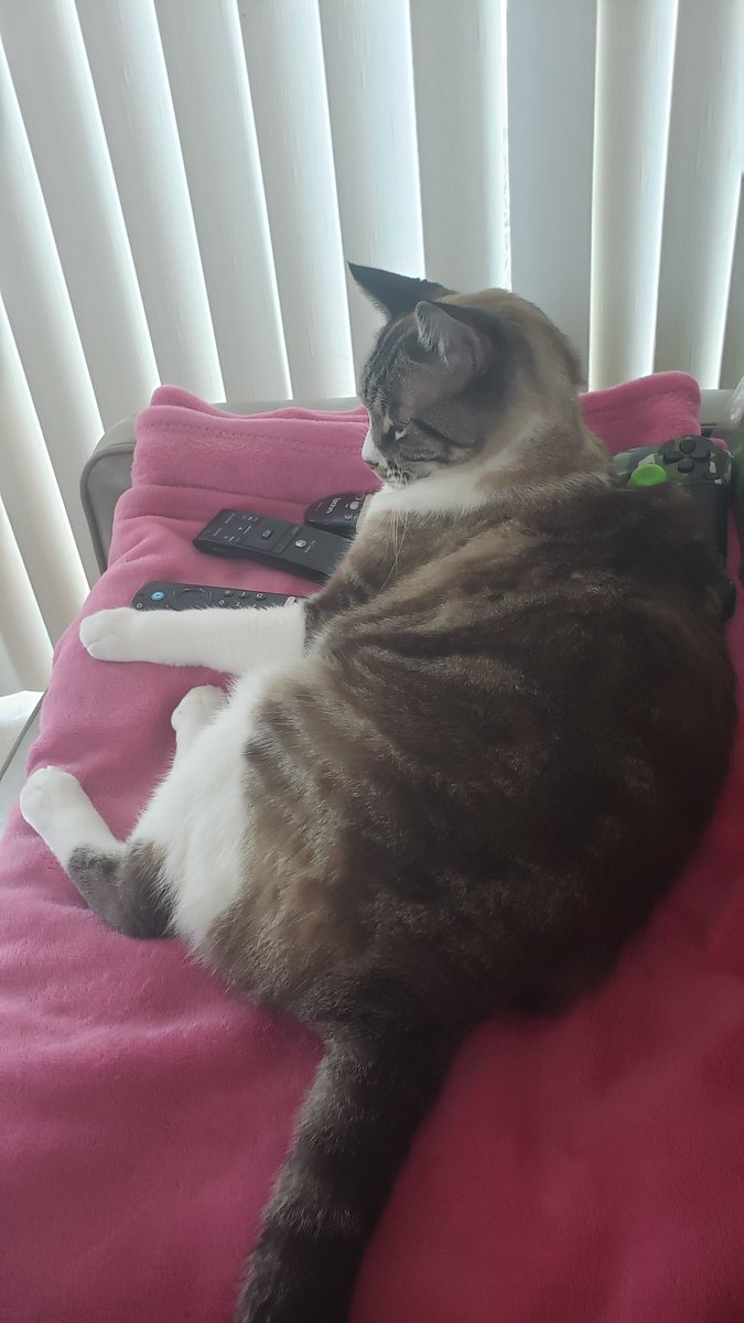 StarscreamF15E's tweet photo. King Louie my Cat says don't change the channel watching @jcwlunacy at 7pm est on channel https://t.co/zMEGBi8l1R
Louie also stole the #PS4 controller apparently no video games unless you have a second monitor. Main focus #JCW #WooPwooP for the victory. https://t.co/3D23w0EXkb