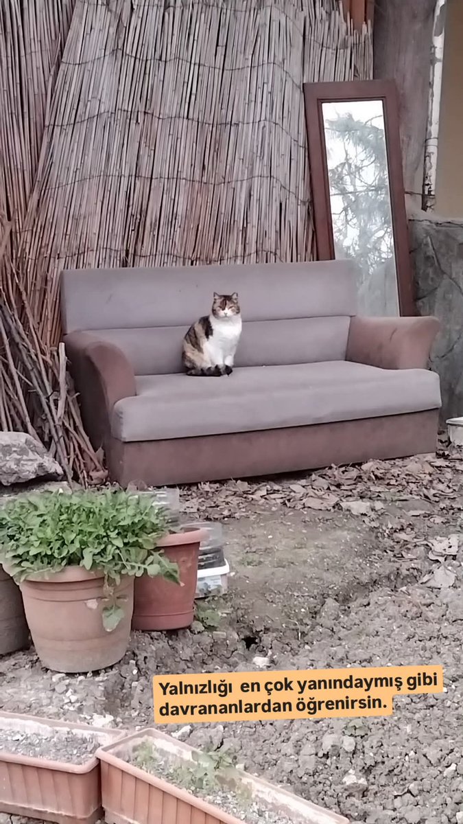 Nurten iyem (@natelam) on Twitter photo 