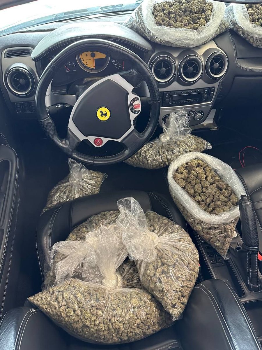 How would you react if I dropped this in your front seat?