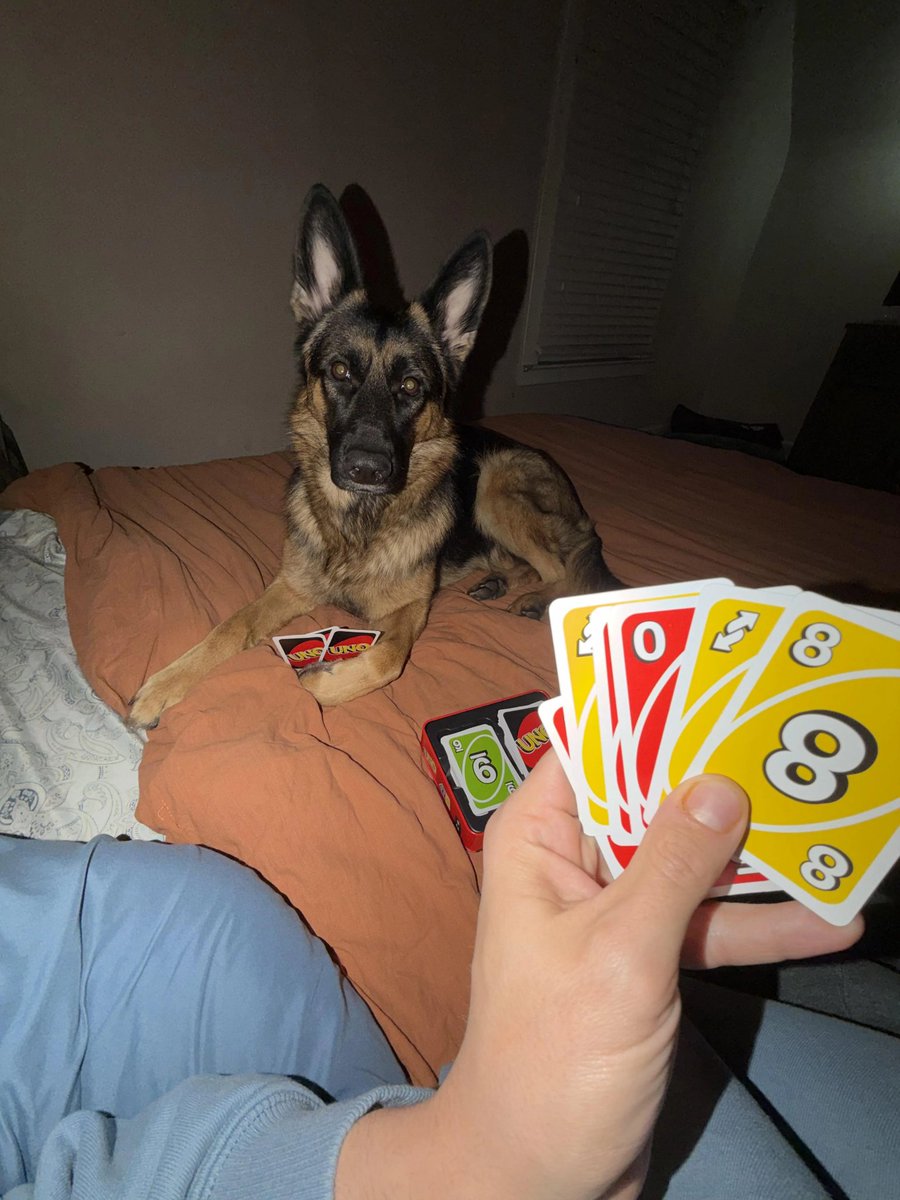 This is what 2 am at a furry convention feels like