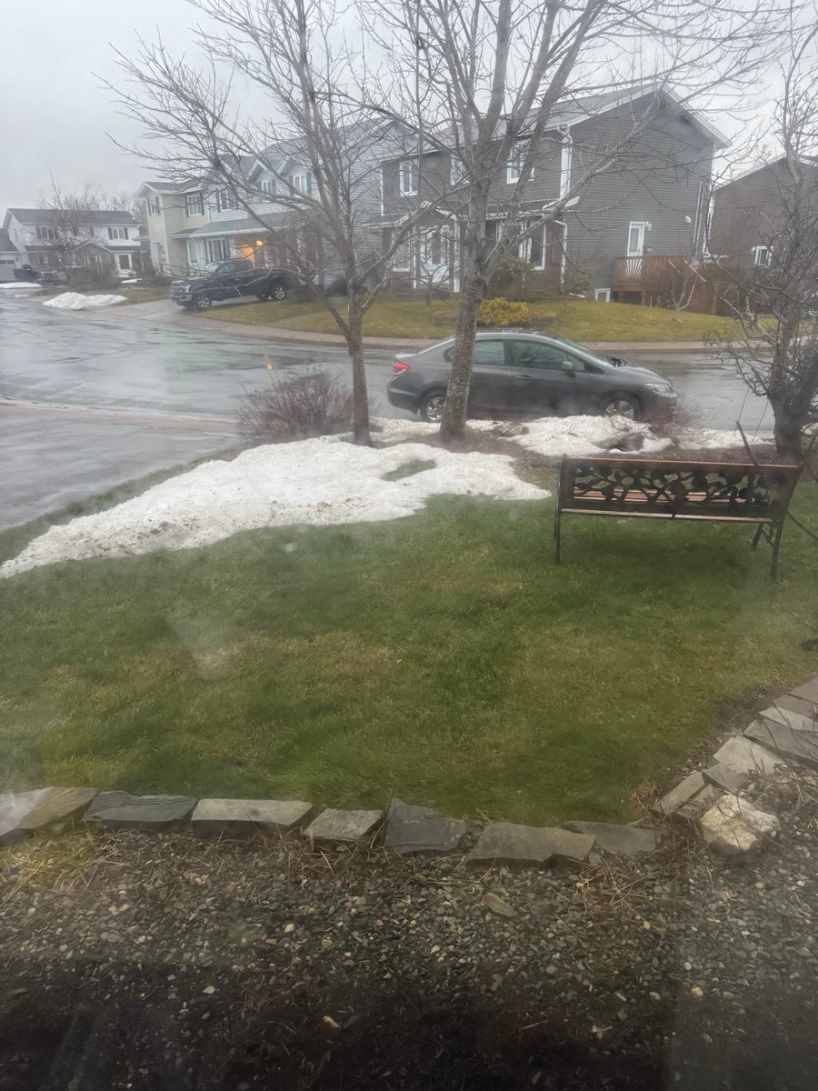 Susan Pike tweet media