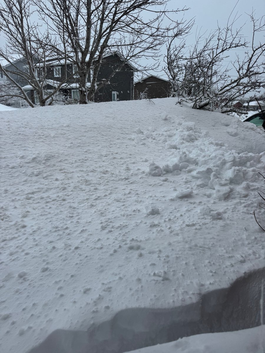 Susan Pike tweet media