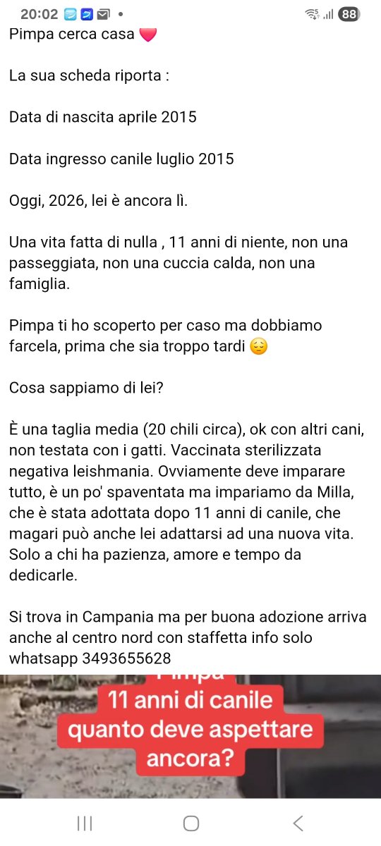 Annina🇮🇹 (@annina_cutillo) on Twitter photo 