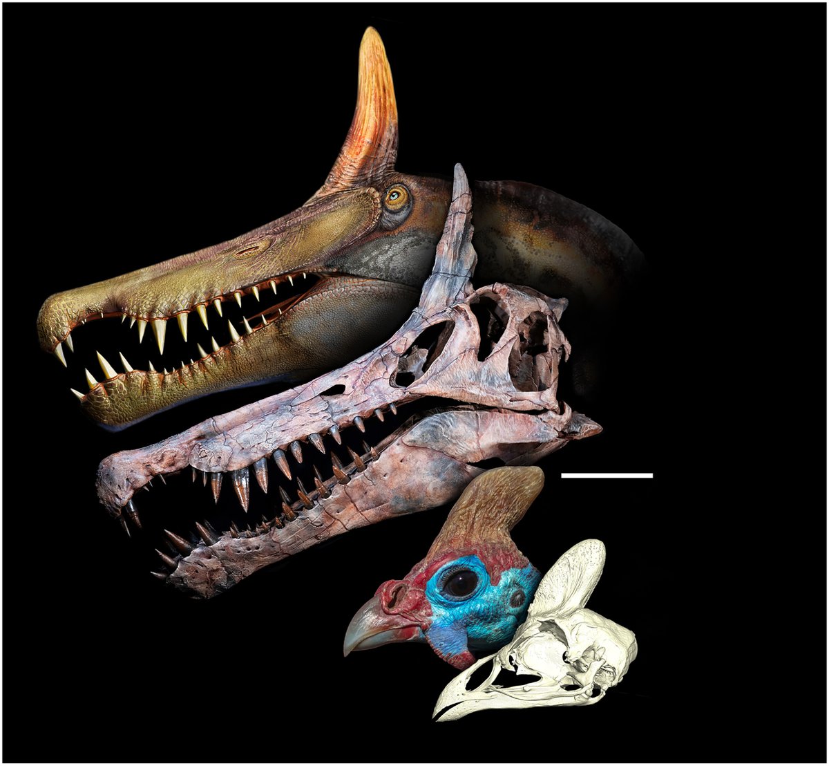 Paléonews tweet media