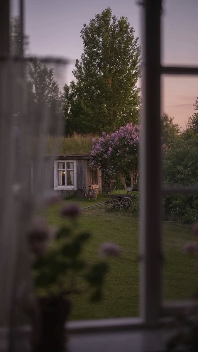 ᅠ ᅠ (@greendreaams) on Twitter photo 