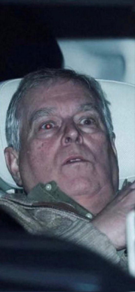 BuddingGenius tweet media