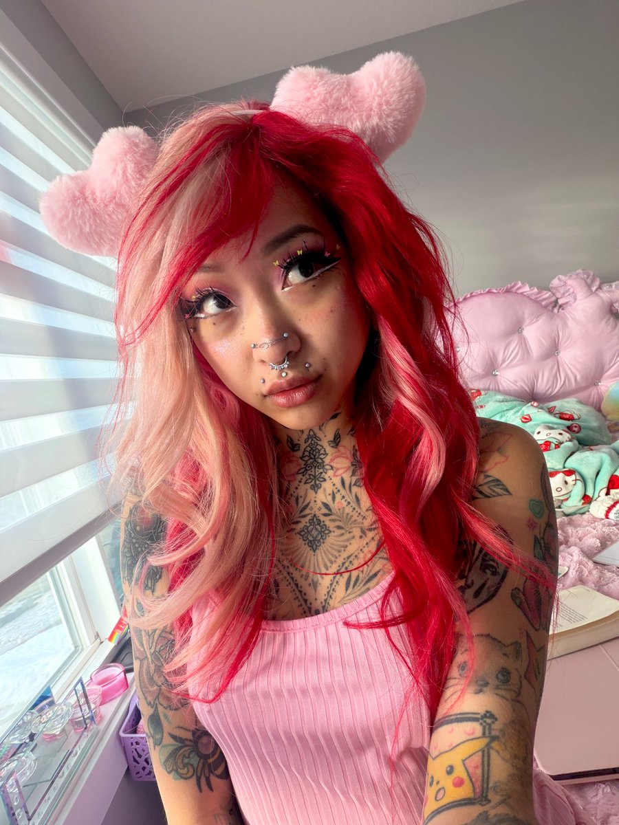 🎀 a knee meow 🎀 FREE OF tweet media