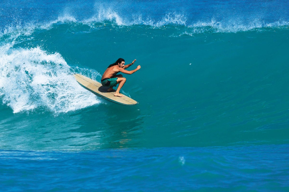 The Surfer's Journal tweet media