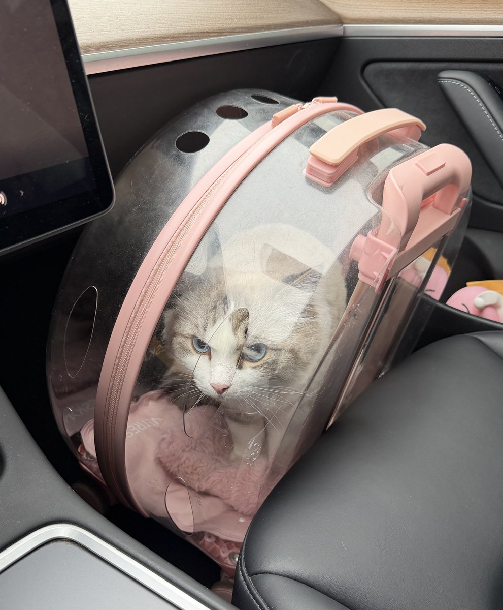 yvonne 🎀 tweet media