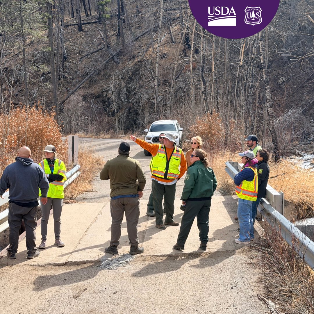 Santa Fe National Forest tweet media