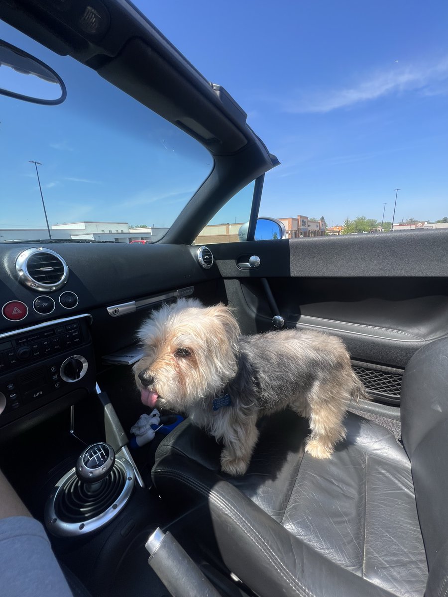 CiscoLive tweet media