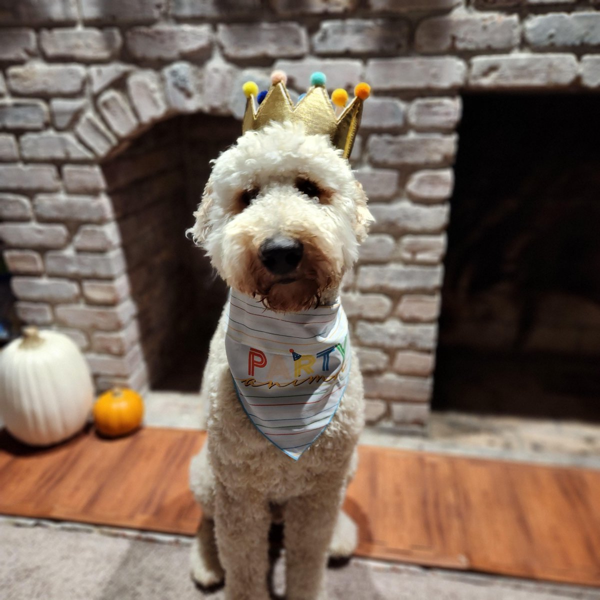 CiscoLive tweet media