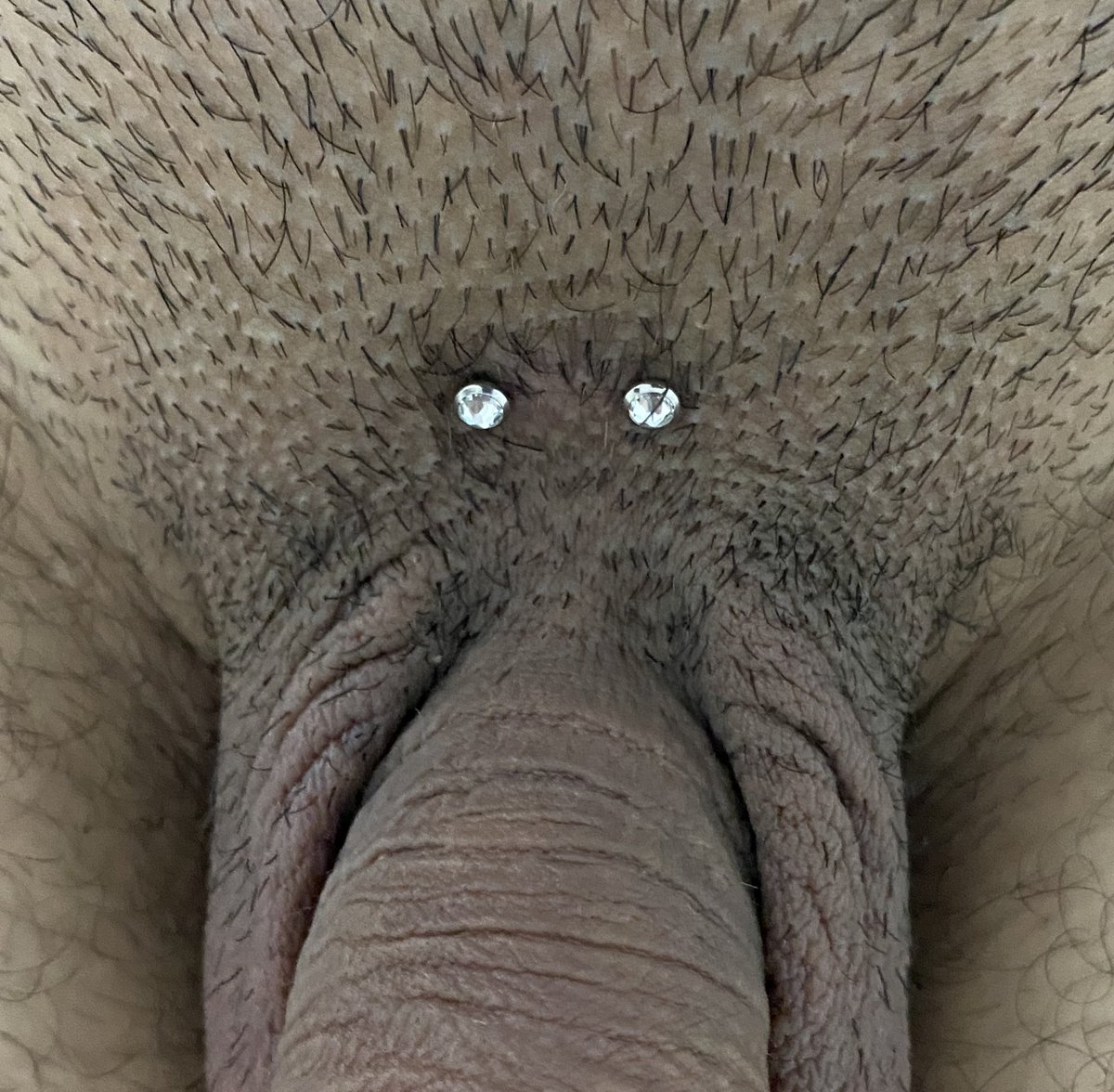 piercedbynatan's tweet photo. Pubic Surface Piercing. made with 12mm surface bar with zirconia tops. DM ME for infos and bookings. #dickpierced #genitalpiercing #piercinggenital #pubic #pubicpiercing #dick https://t.co/BEjvwBYa5f
