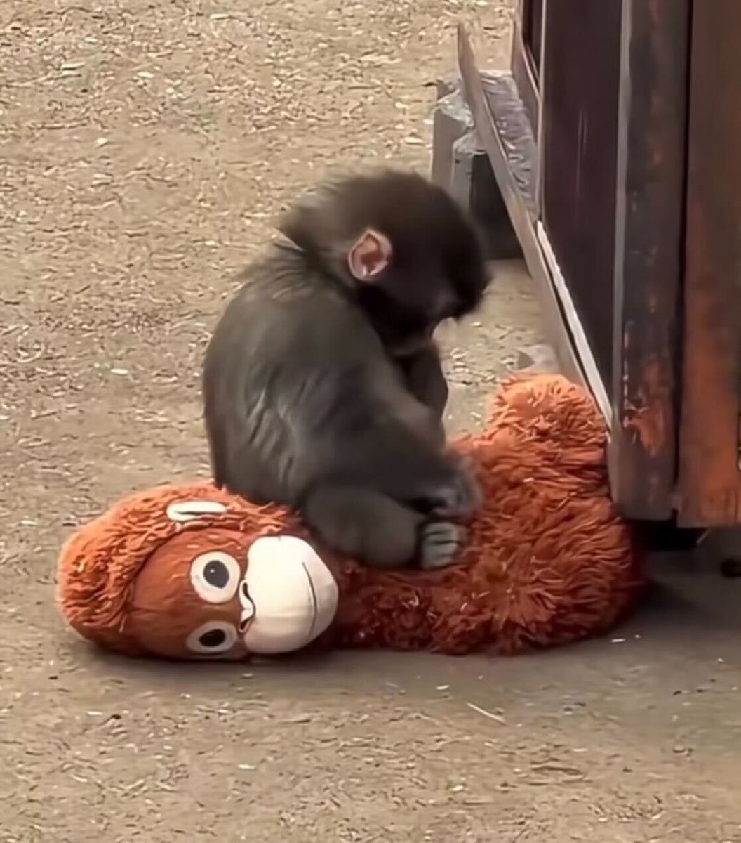 Rob Bresnahan when you tell him he has to stop insider stock trading 💔 #PA08