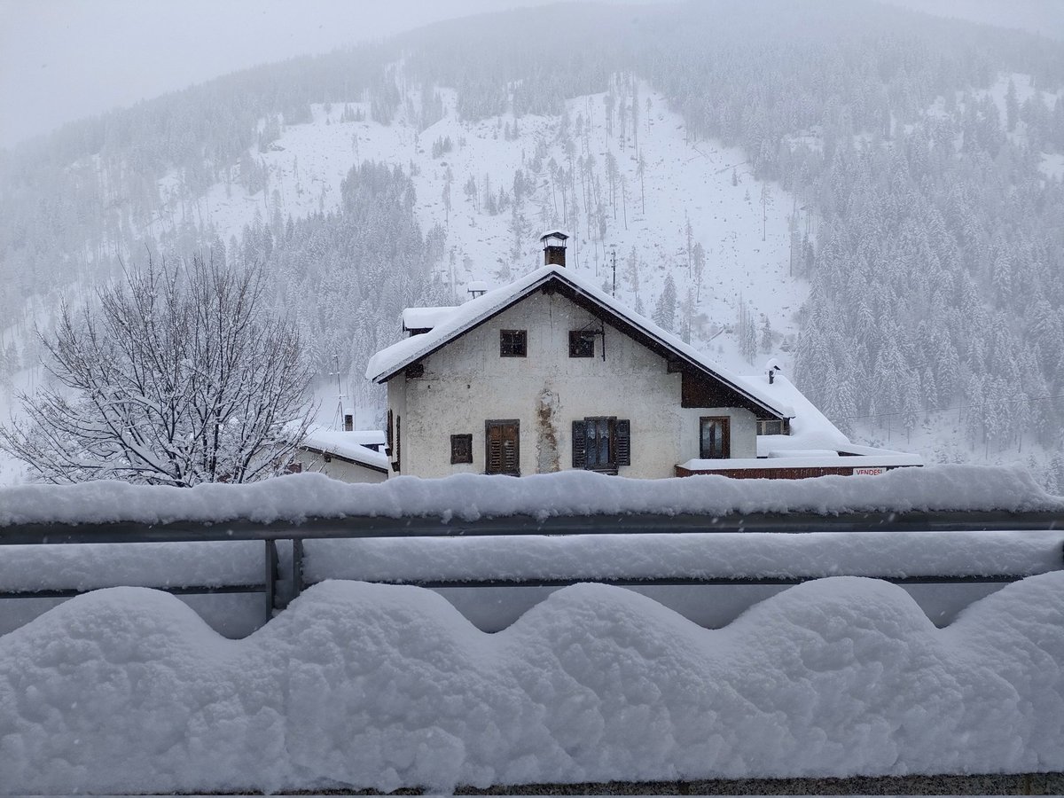 Iva Callegari tweet media