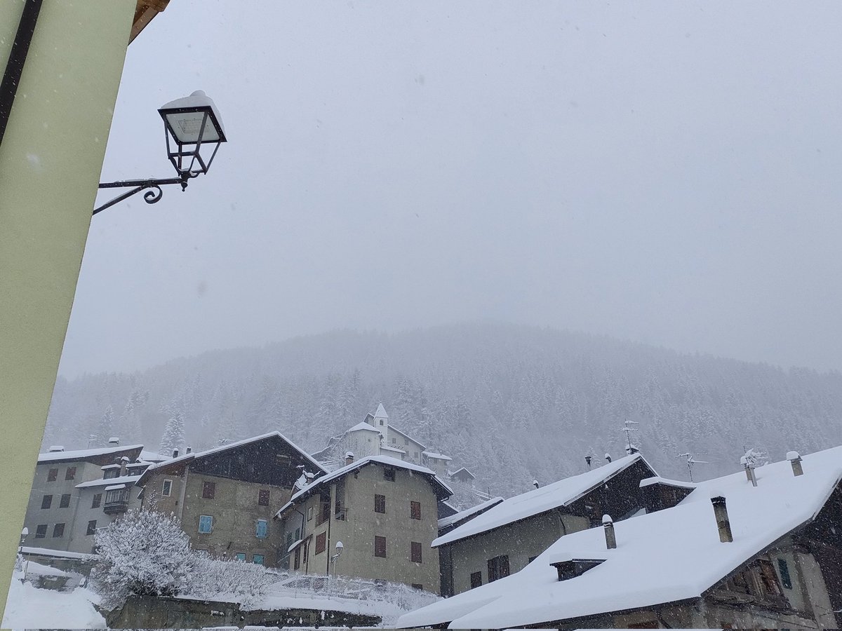 Iva Callegari tweet media