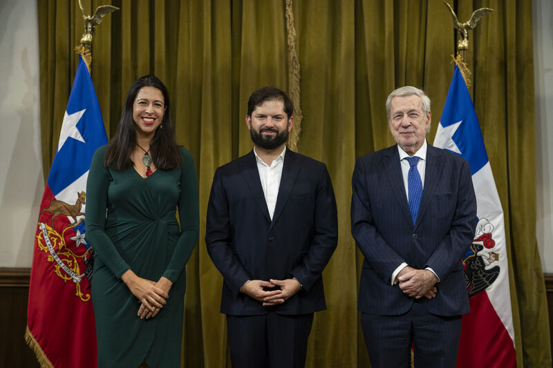 PNUD Chile tweet media