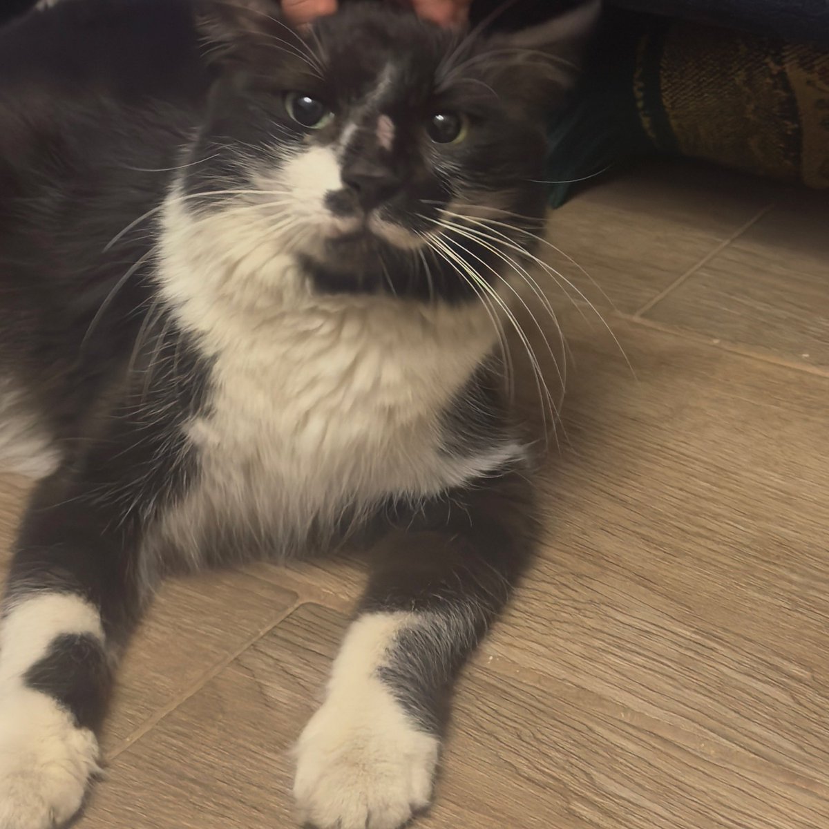 DT.Rahaf ryan🩷 tweet media