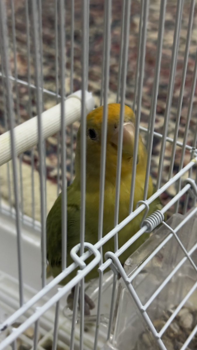 DT.Rahaf ryan🩷 tweet media