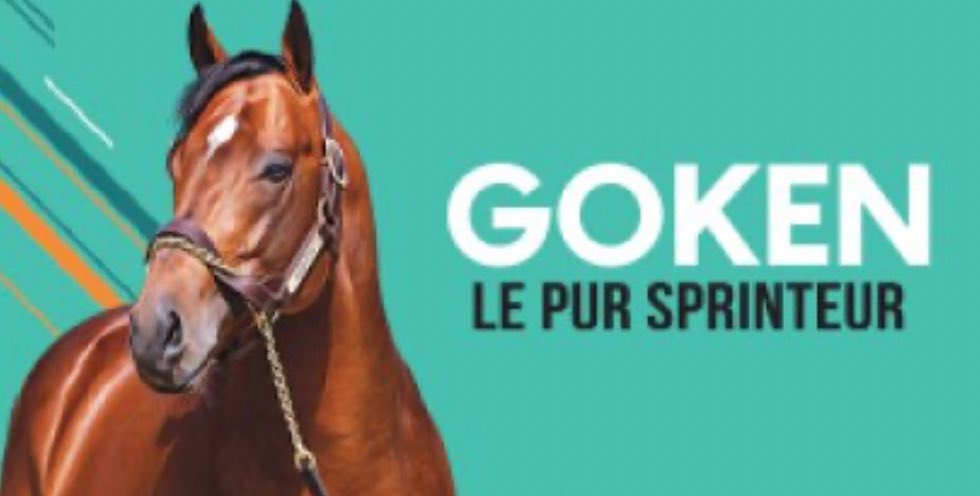 Haras de Colleville tweet media